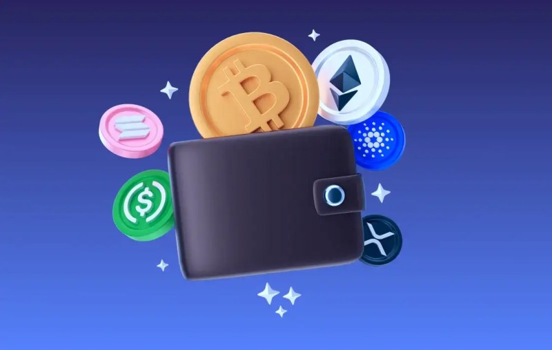 Hot and cold wallet comparison