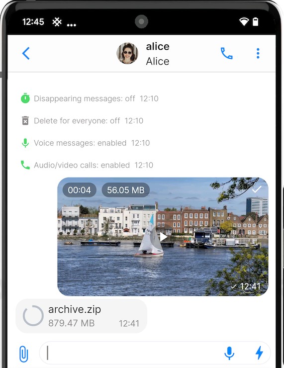 SimpleX video send feature